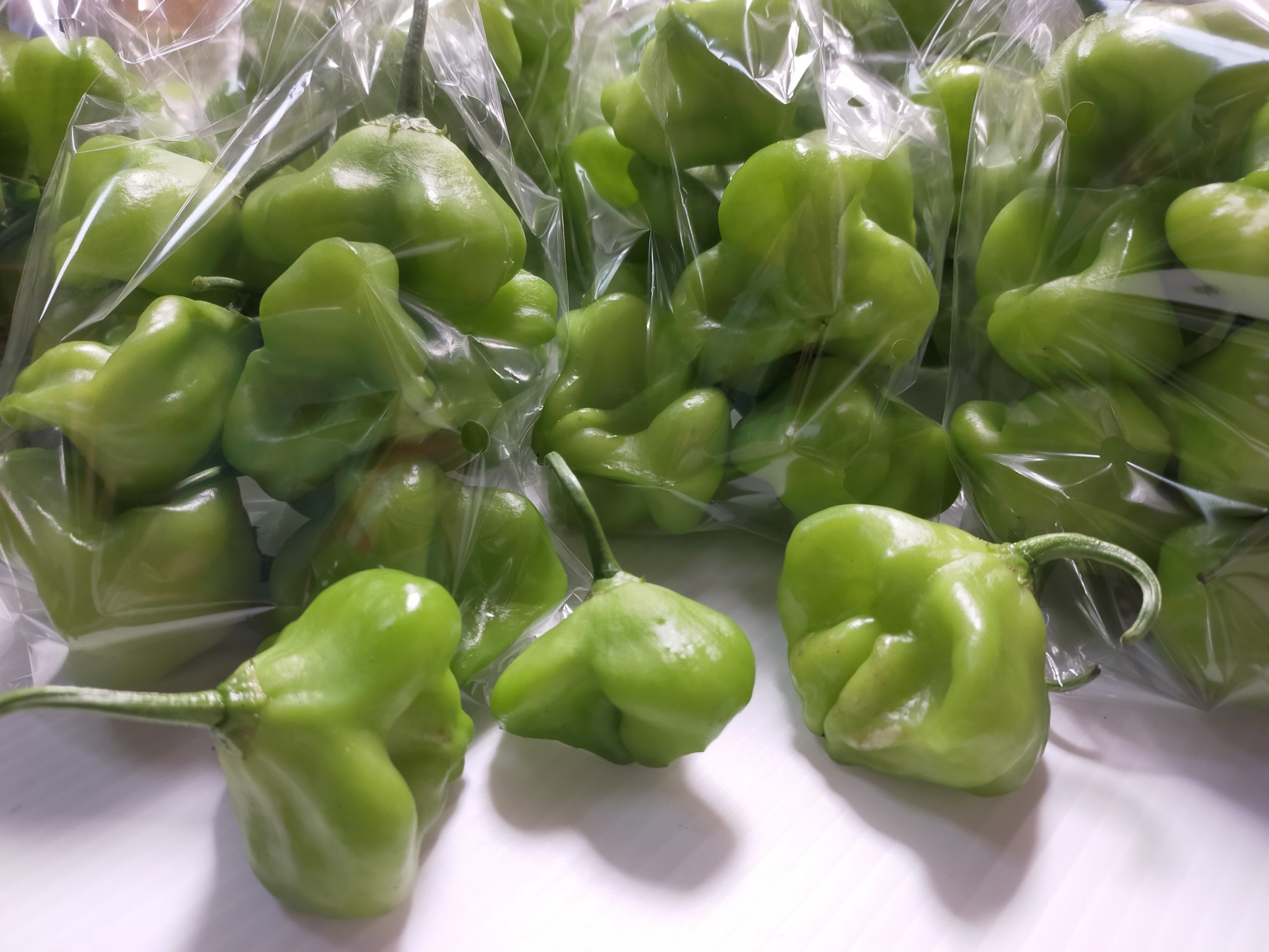 img202208291547048916338089618